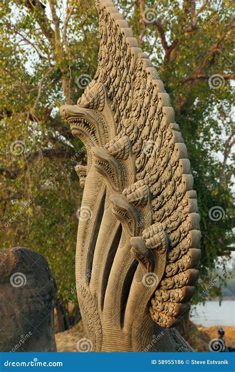 naga serpent cobra king vasuk stock photo image