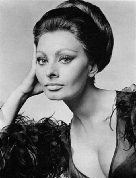 Sophia Loren Glossy Poster Picture Photo Italy Actress Hollywood