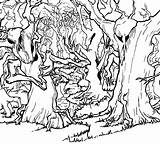 Florestas Pintar Haunted Floresta Pine Getdrawings sketch template