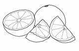 Grapefruit Drawing Coloring Pages Printable Colouring للتلوين Drawings Color Fruits Citrus Template Frutas Choose Board Kids Sketch Riscos sketch template