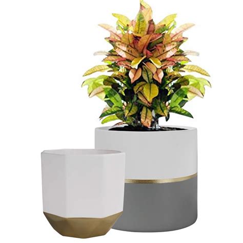 Buy La Jolíe Muse White Ceramic Flower Pot Garden Ers 16 5 Cm Pack 2