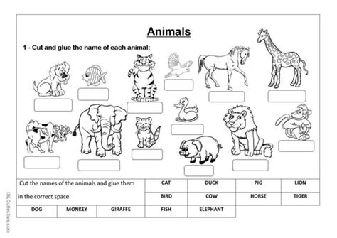 top  animal diagrams  label lestwinsonlinecom