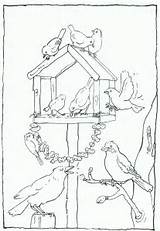 Vogels Feeder Birds Tuin Voeren Vogel Parel Voederhuisje Downloaden Designlooter Uitprinten sketch template