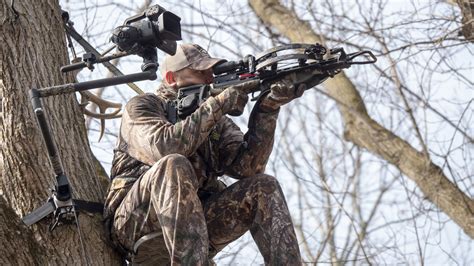 crossbow  vertical bow bowhuntingcom