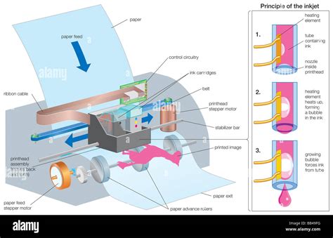 diagram   operating process   inkjet printer stock photo alamy