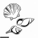 Coloring Pages Mussels Various Gif sketch template
