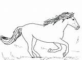 Horse Coloring Pages Cute Print Printable Color Getcolorings Animal Coloringfolder sketch template