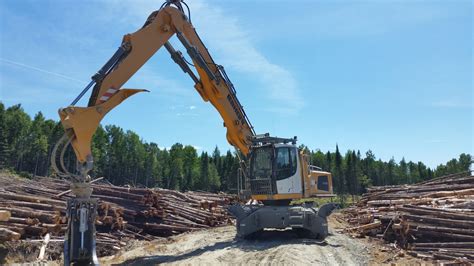 branching  log loader operator starts   business wood business