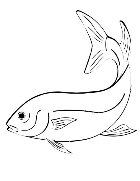 draw  fish  answers raskraski  zhivotnymi detskie