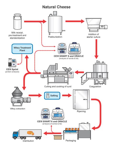 Natural Cheese Production Process