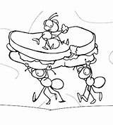 Coloring Ants Maze Fourmis Sandwich sketch template
