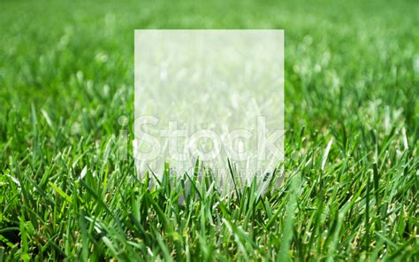 grass  blank paper stock photo royalty  freeimages