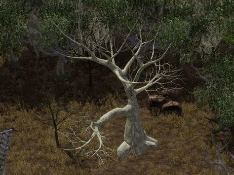 simming  magnificent style smaller spooky tree