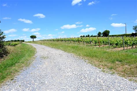 french countryside loire valley chateau de la vigne