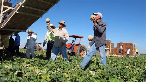 Many Immigrant Farmworkers Legalized In 1986 Went On To Prosper Cbs News