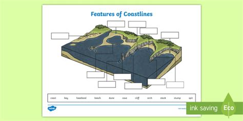 features  coastline labelling worksheet planit geography year