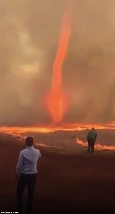 large fire tornado forms  farm  brazil earth  sottnet