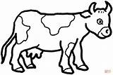 Cow Coloring Pages Color Online Farm Animal Animals Printable Templates Kids Patterns Simple Sheets Vaca Cute Colorear Para sketch template