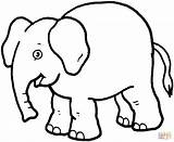 Elefant Ausdrucken Malbilder sketch template