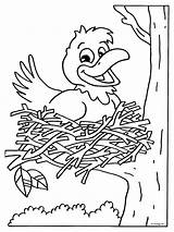 Kleurplaten Lente Kleurplaat Voorjaar Vogelnestje Vogelnest Wit Zwart Vogeltjes Schetsen Afkomstig Pasen Kinderen sketch template