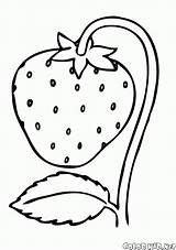 Mewarnai Strawberry Buah Colorare Fragola Dzieci Kolorowanki Truskawka Coloring Morango Erdbeere Kolorowanka Fraise Disegni Fresa Anak Bambini Lat Colorkid Malvorlagen sketch template