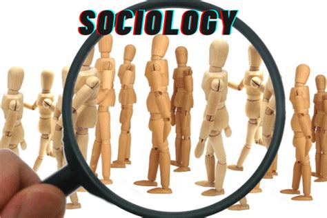 sociology homework    sociology experts bmbt