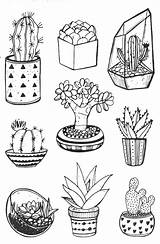 Succulent Aesthetic Kaktus Kakteen sketch template