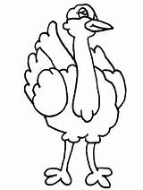 Ostrich Coloring Pages Animals Color Kids Animal Cliparts Baby Clipart Sheets Printable Print Letter Back Sheet Popular sketch template