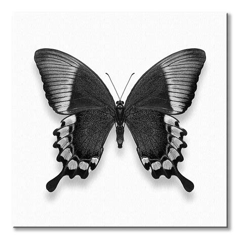czarno bialy motyl obraz na plotnie sklep nice wall