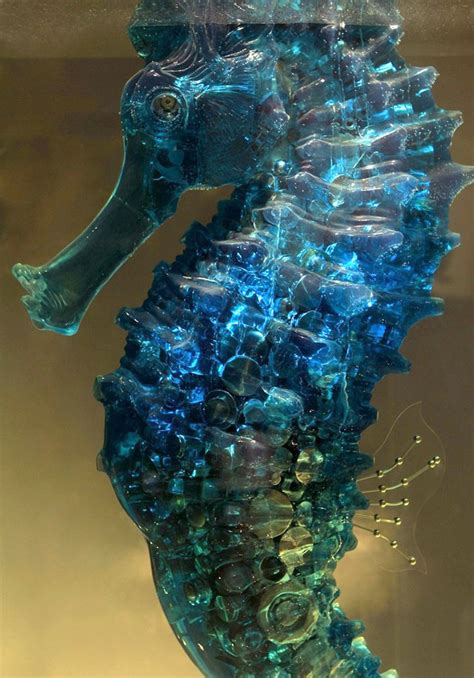 unbelievable seahorse sculpture  hu shaoming