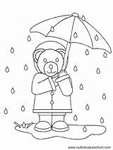 Regen Raindrops Teddy Preschool Coloringhome Nuttin Tulip Davemelillo sketch template