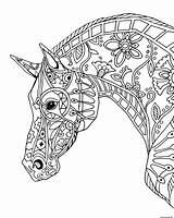 Adulte Cheval Caballos Caballo Colorier sketch template