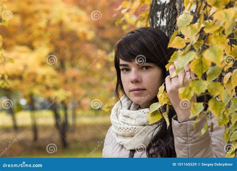 Girl Near A Tree Against A Background Of Autumn Foliage Stock Image