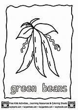 Beans Green Coloring Pages Vegetables Printable Growing Vegetable Colouring Kids Fruits Clipart Color Lucy Templates Library Sheets Fruit Pyramid Complete sketch template