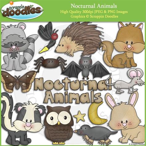 nocturnal animals nocturnal animals art bundle doodles