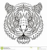 Tigre Zentangle Tigres Stylized Dibujar Franc Patroon Stileerde Mandalasweb Drawing Sympathique Svg Pintados Chinois sketch template