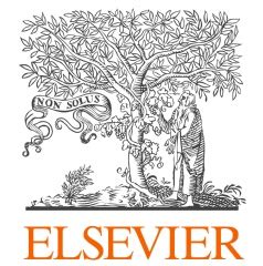 elsevier care planning wins  klas category leader award webwire