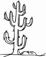 Cactus Saguaro Drawing Coloring Printable Getdrawings sketch template