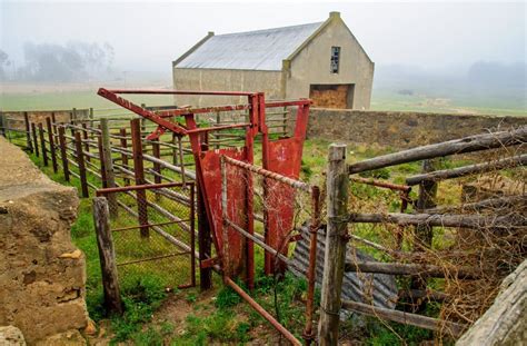 Tips To Handle Cattle The Small Herd Cattle Working Pens