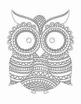 Coloriage Hibou Imprimer Hiboux Mandala Coloriages Blanche Nuit Chouette Owl Mieux Artherapie Danieguto sketch template