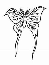 Moth Coloring Luna Pages Silk Silkworm Drawing Template Printable Getdrawings Designlooter Drawings Supercoloring Book Sketch sketch template