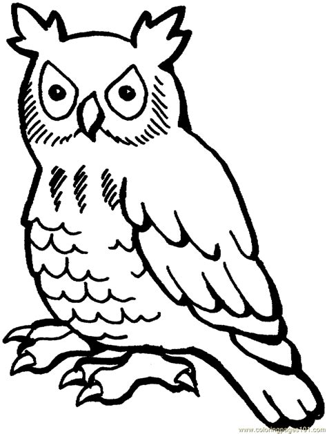 owl coloring pages kidsuki