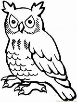 Coloring Pages Owl Kids Printable Owls Sheets Drawing Line sketch template