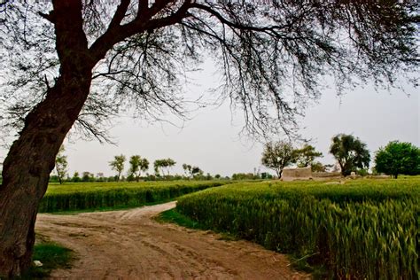 Moments Of Tranquility Folk Music And The Punjabi Culture