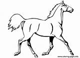 Horse Coloring Pages Running Printable Print Color Book sketch template