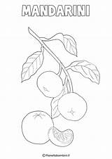 Colorare Frutta Invernale Mandarini Pianetabambini Schede Limone sketch template