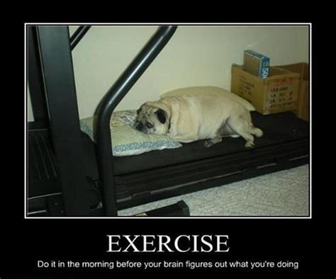 Exercise Quotes Exercise Sayings Exercise Picture Quotes Page 4