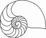 Nautilus Line Drawing Getdrawings Clipart sketch template