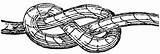 Knot Tie Cliparts Knots Tying Usf Clipground Ropes sketch template