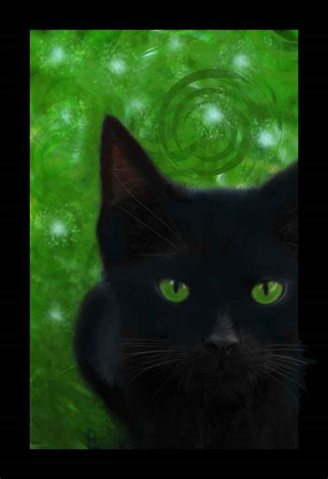 gypsy magic the cat as a magickal ingredient